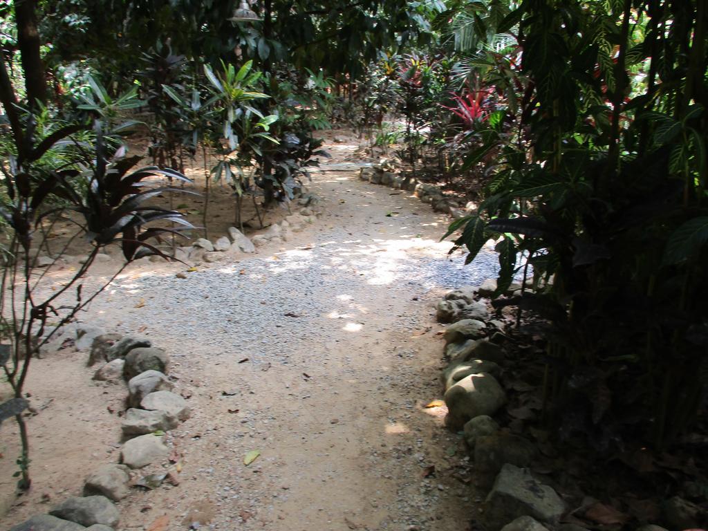Khaosok Island Resort Khao Sok National Park Ngoại thất bức ảnh