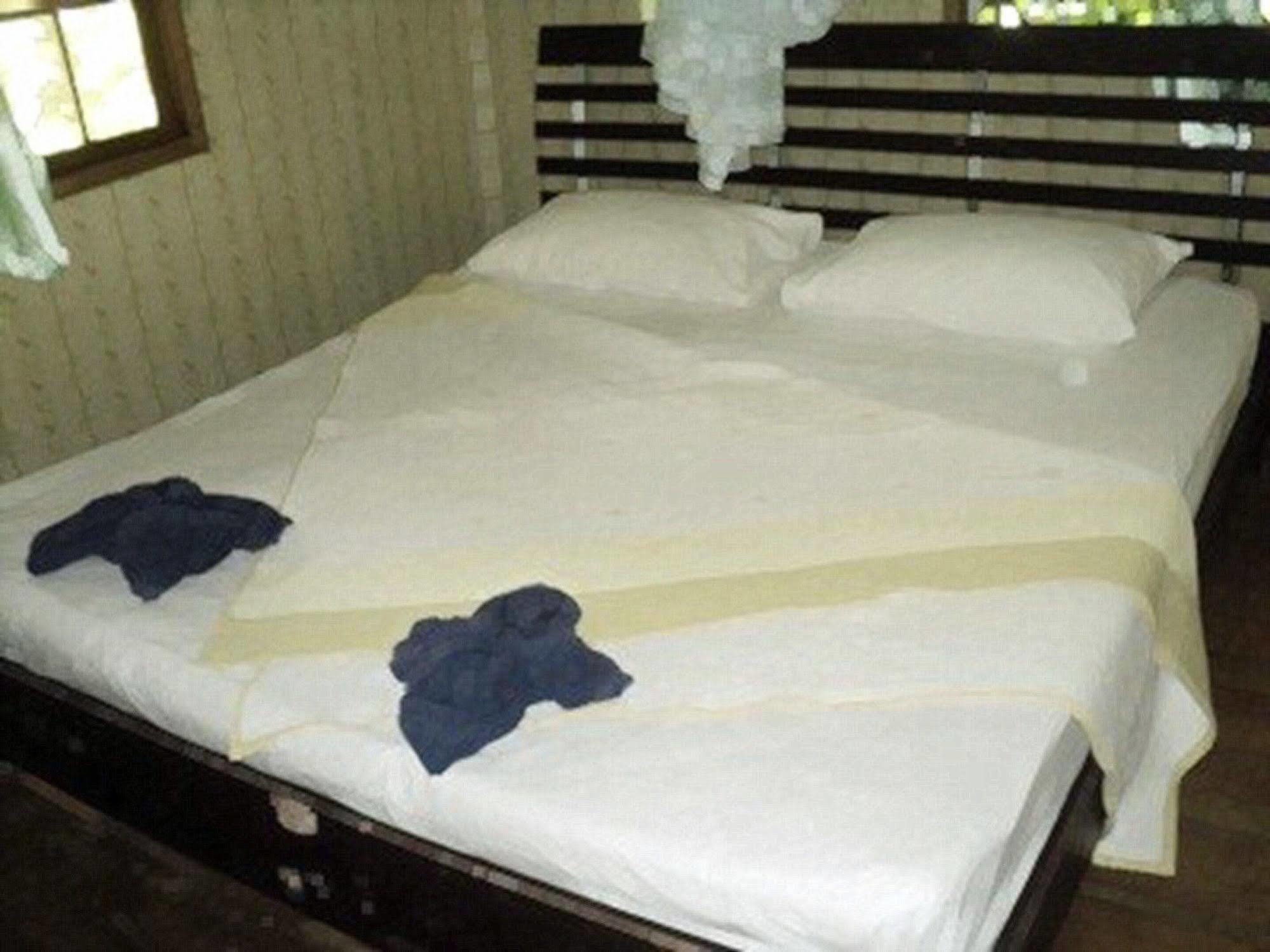 Khaosok Island Resort Khao Sok National Park Ngoại thất bức ảnh