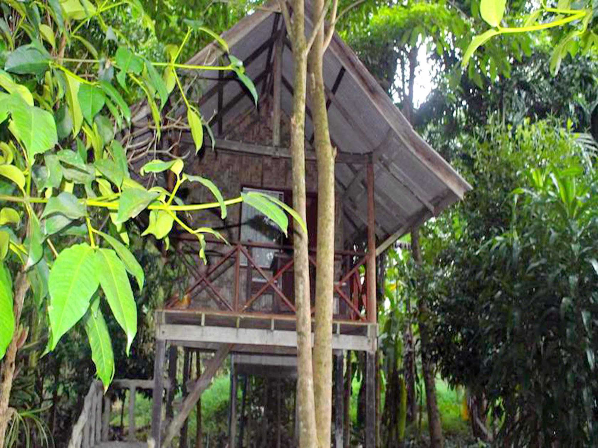 Khaosok Island Resort Khao Sok National Park Ngoại thất bức ảnh